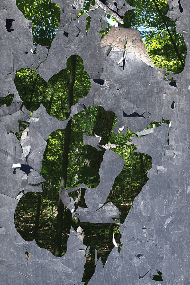 Forest Interference, 2013
